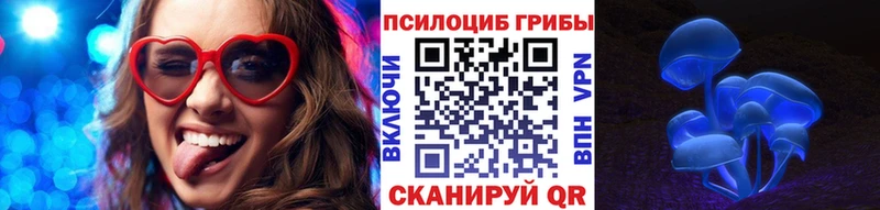 Купить  Берёзовский  Галлюциногенные грибы мицелий 